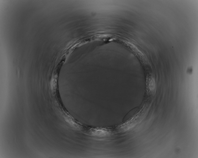 X0000097620475200803281040