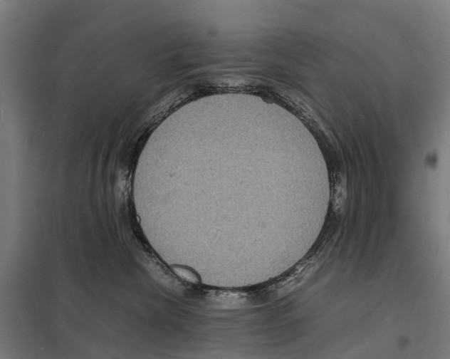 X0000097620476200803281040