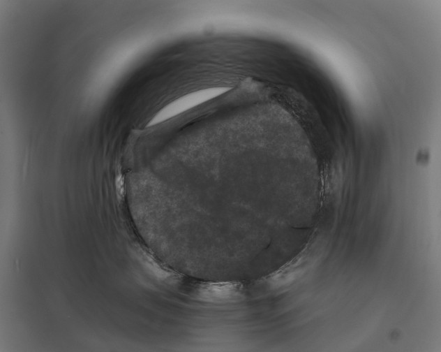 X0000097620479200803281040