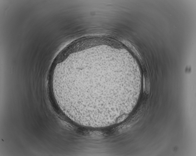 X0000097620483200803281039