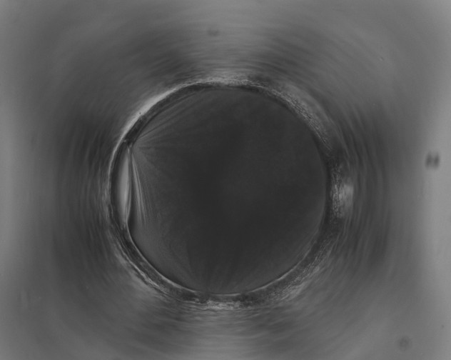 X0000097620484200803281039