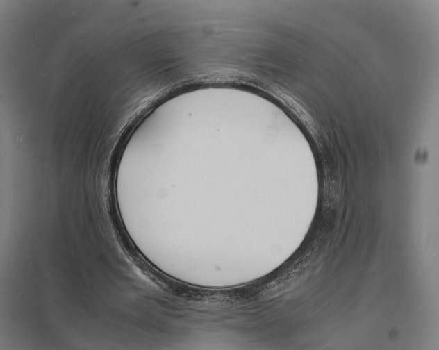 X0000097620485200803281039
