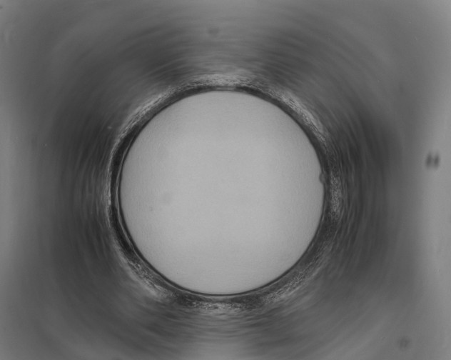 X0000097620486200803281039