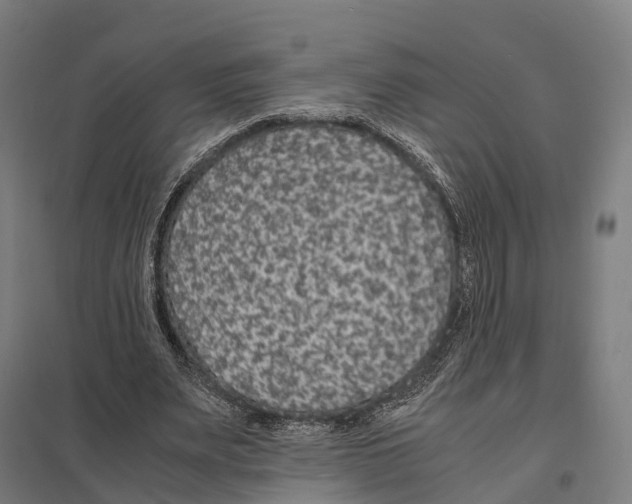 X0000097620487200803281039
