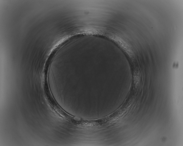 X0000097620488200803281039