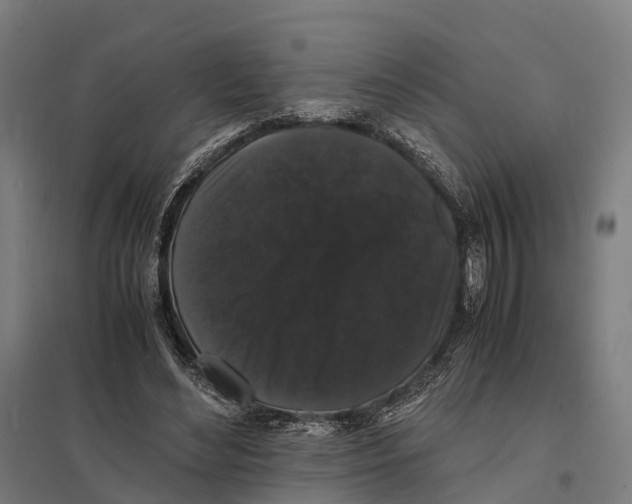 X0000097620492200803281039