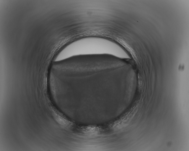 X0000097620493200803281039