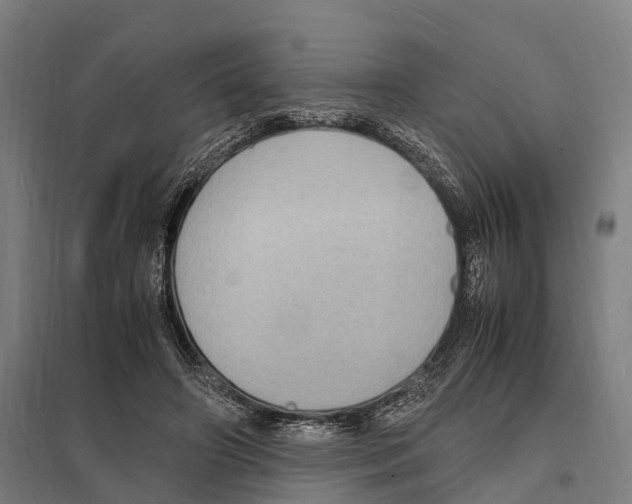 X0000097620498200803281039