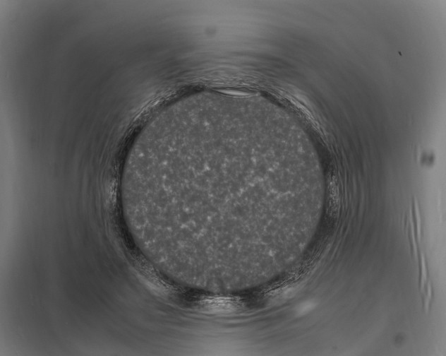 X0000097620499200803281039