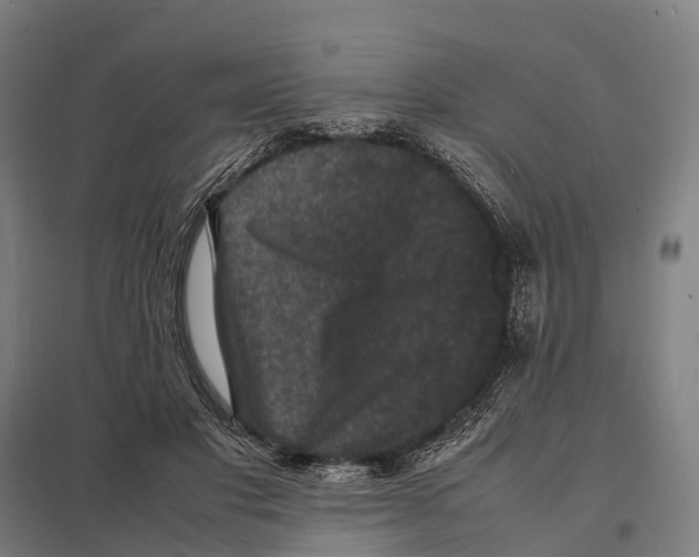 X0000097620501200803281039