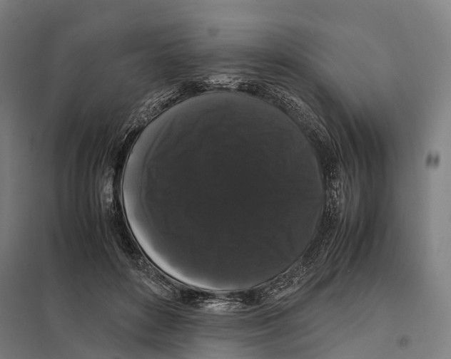 X0000097620504200803281039