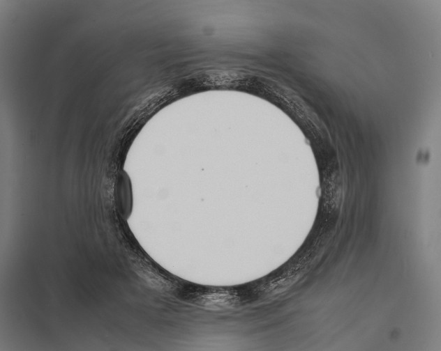 X0000097620505200803281039