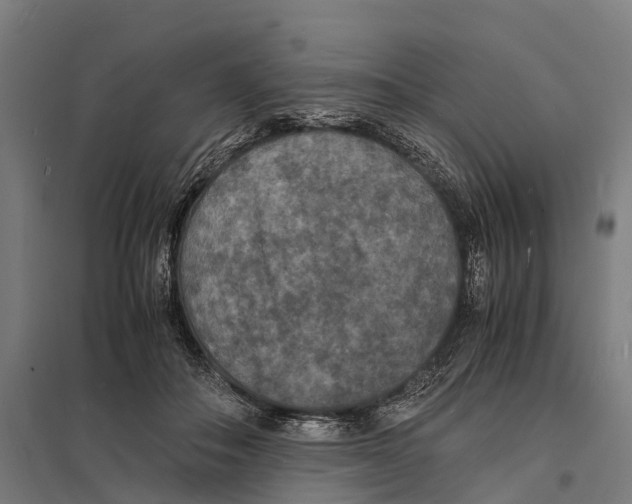 X0000097620506200803281039