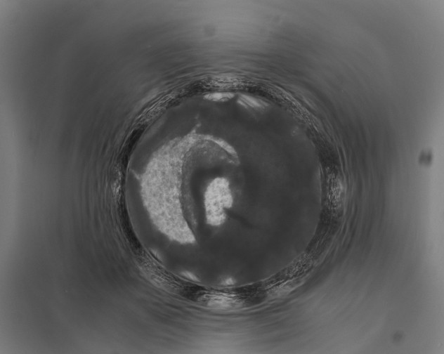 X0000097620507200803281039