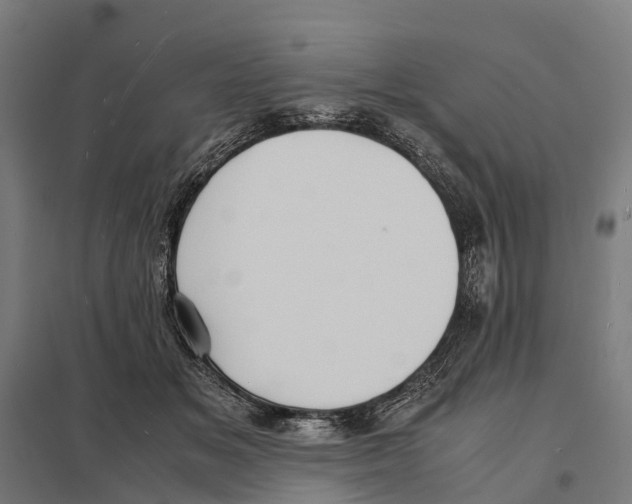 X0000097620509200803281039