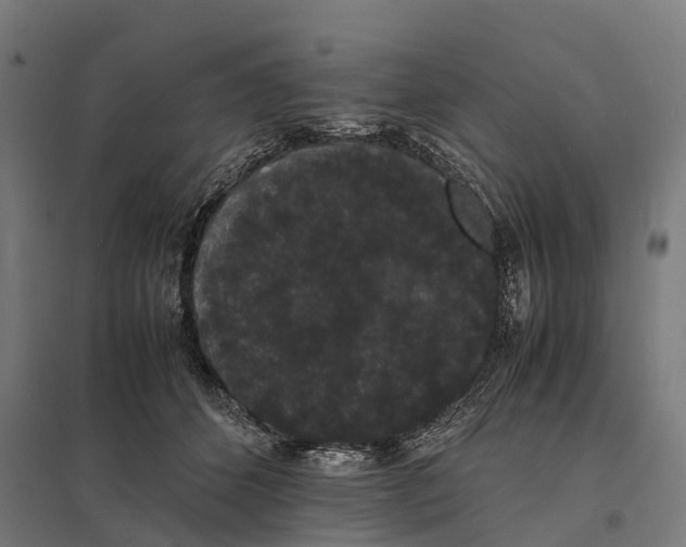 X0000097620512200803281039