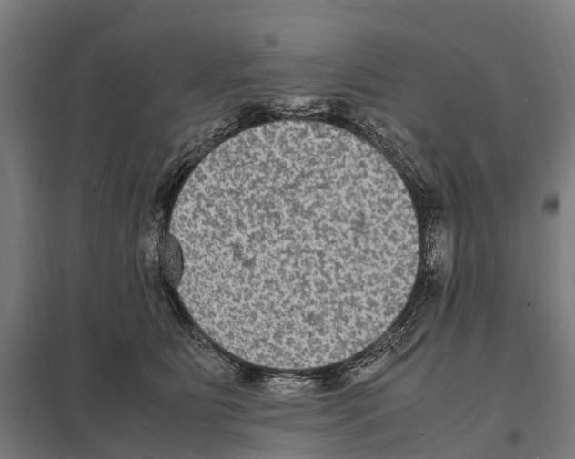 X0000097620515200803281039