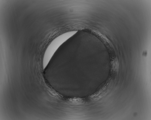 X0000097620517200803281039