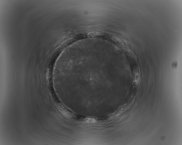 X0000097620519200803281039