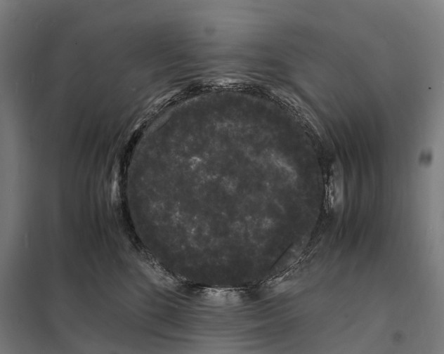 X0000097620520200803281039