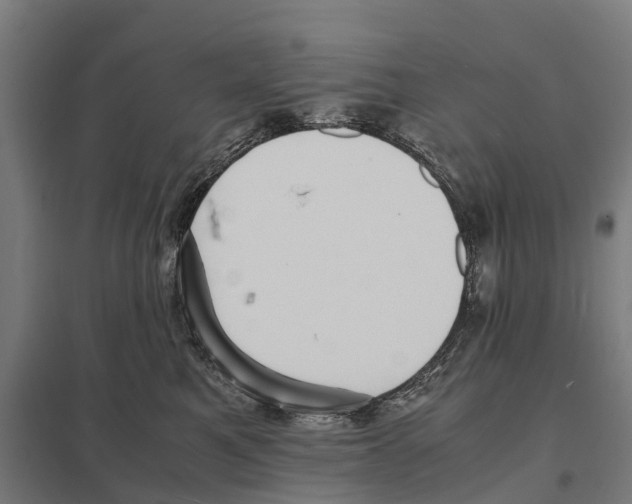 X0000097620521200803281039
