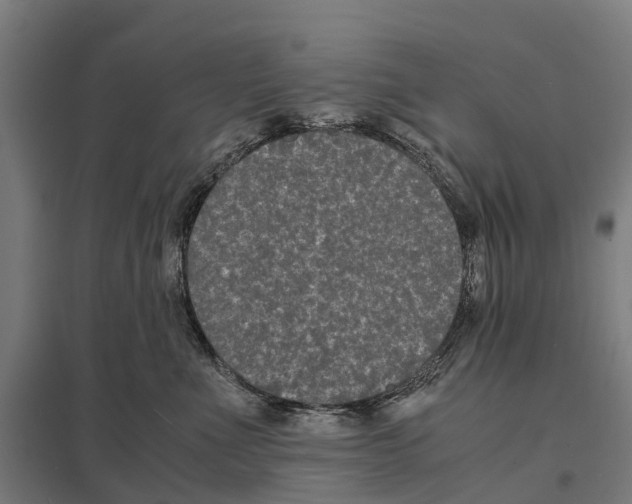 X0000097620523200803281039