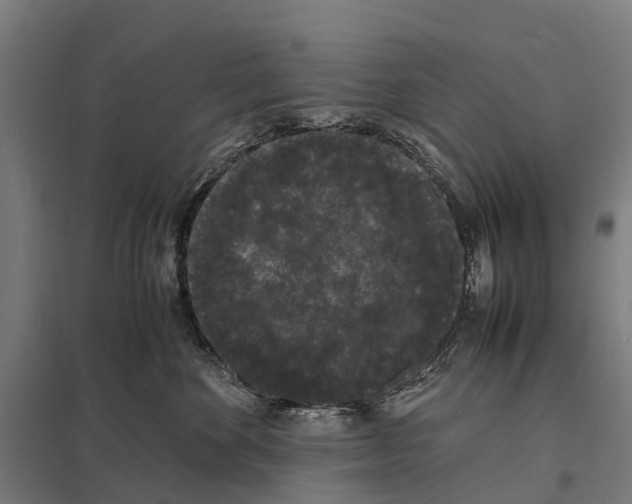 X0000097620524200803281039