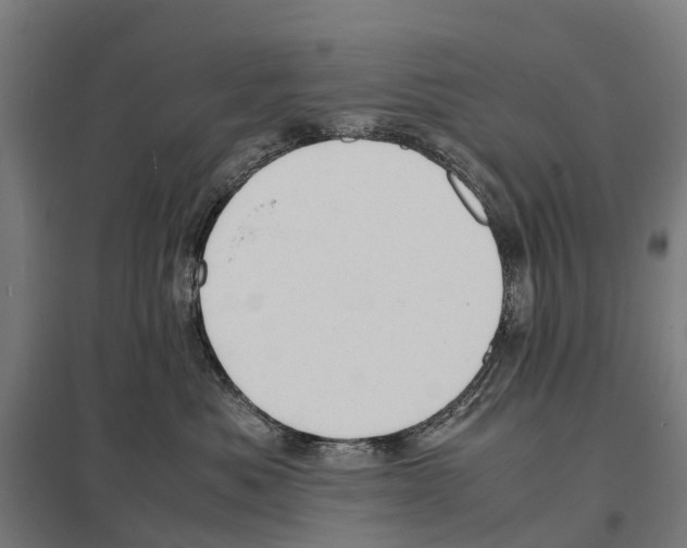 X0000097620525200803281039