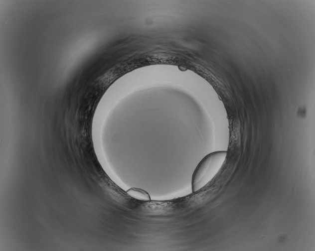 X0000097620526200803281039