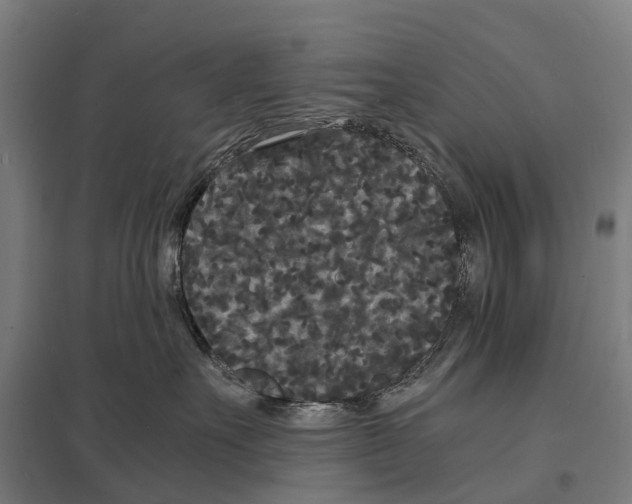 X0000097620527200803281039