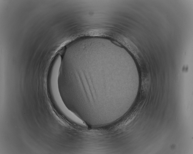 X0000097620530200803281038