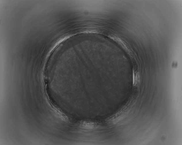 X0000097620531200803281038