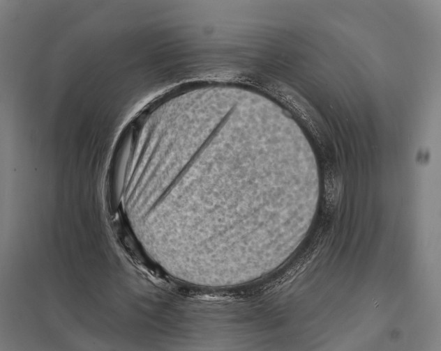 X0000097620532200803281038