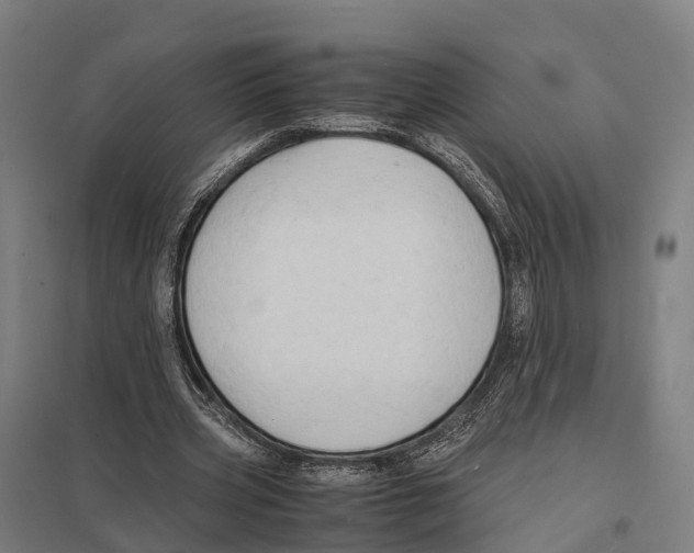 X0000097620533200803281038