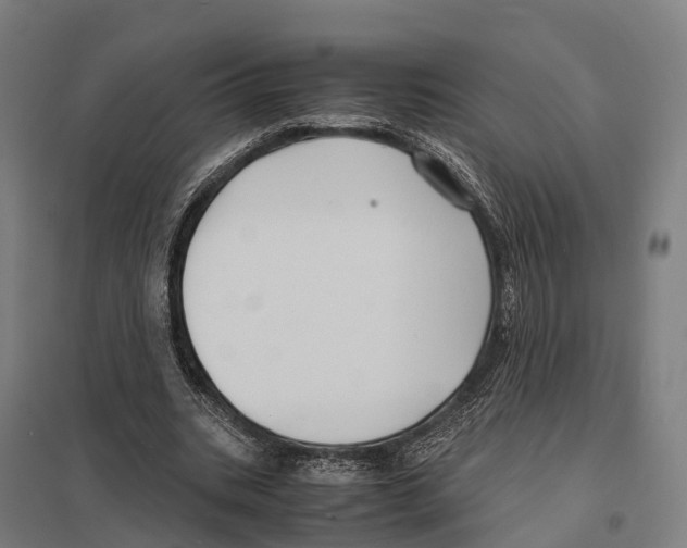 X0000097620535200803281038