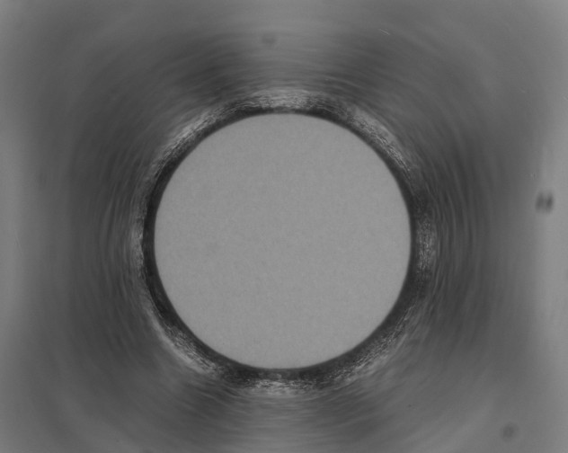 X0000097620538200803281038