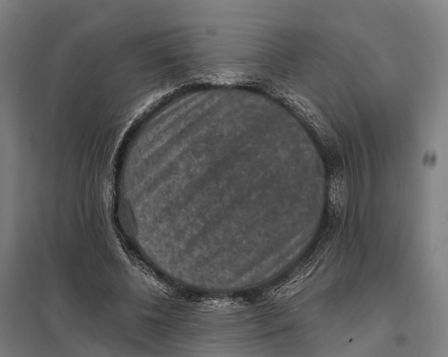 X0000097620540200803281038
