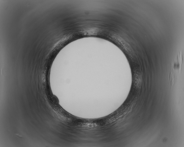 X0000097620543200803281038