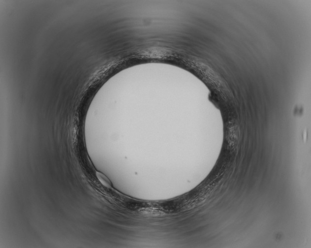 X0000097620544200803281038