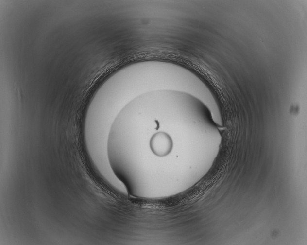 X0000097620546200803281038