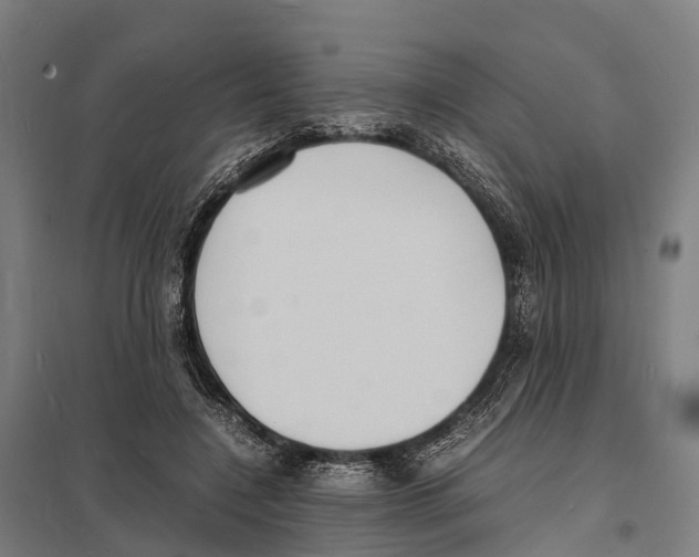 X0000097620548200803281038