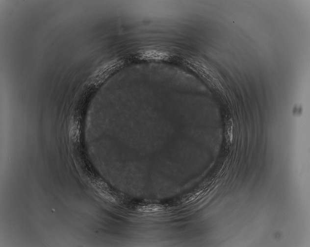 X0000097620551200803281039