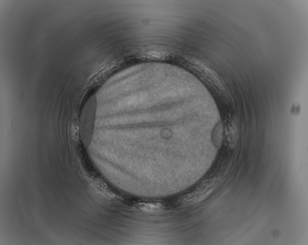 X0000097620552200803281039