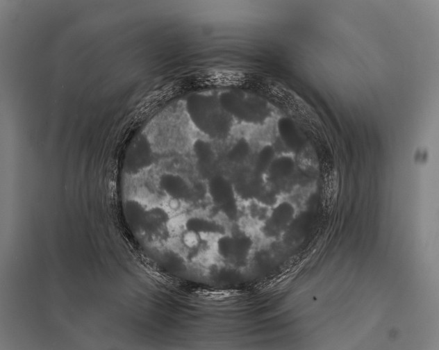 X0000097620553200803281039
