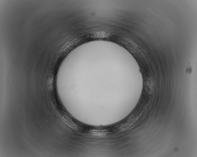 X0000097620556200803281039