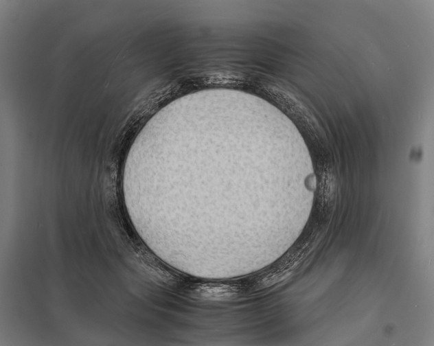 X0000097620557200803281039