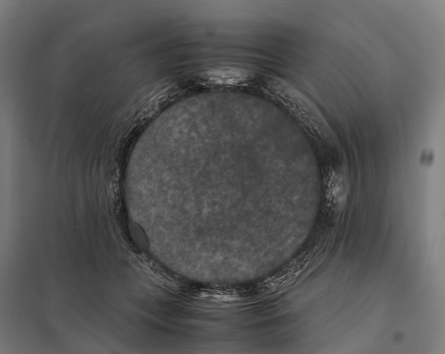 X0000097620559200803281039