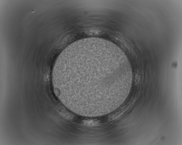 X0000097620561200803281039