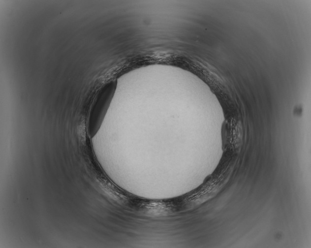 X0000097620562200803281039