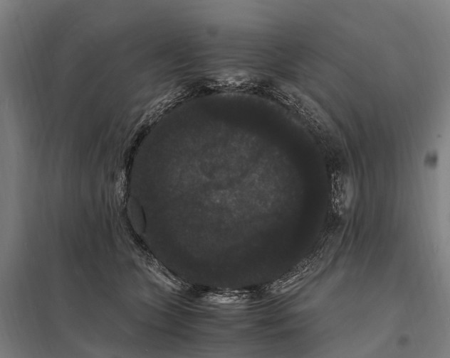 X0000097620563200803281039